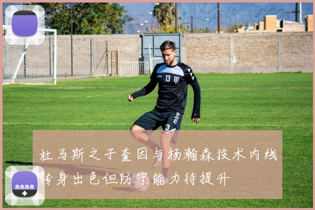 杜马斯之子奎因与杨瀚森技术内线转身出色但防守能力待提升