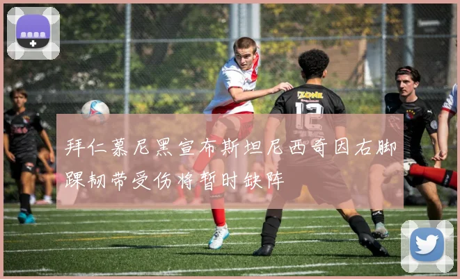 拜仁慕尼黑宣布斯坦尼西奇因右脚踝韧带受伤将暂时缺阵