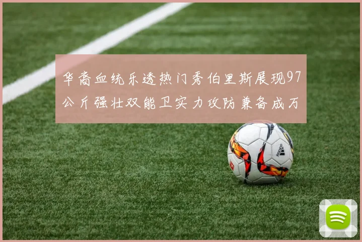 华裔血统乐透热门秀伯里斯展现97公斤强壮双能卫实力攻防兼备成万金油之选