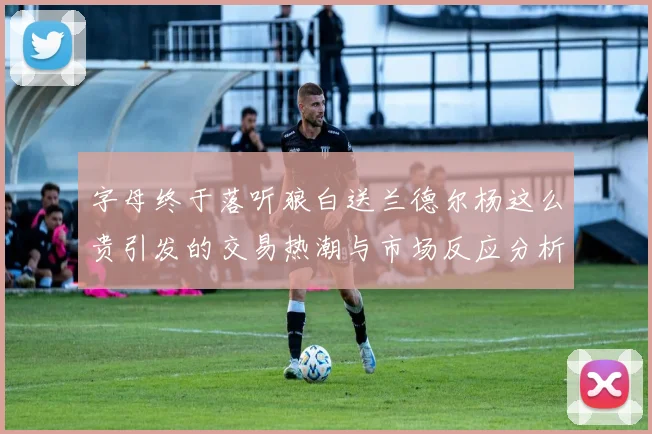 字母终于落听狼白送兰德尔杨这么贵引发的交易热潮与市场反应分析